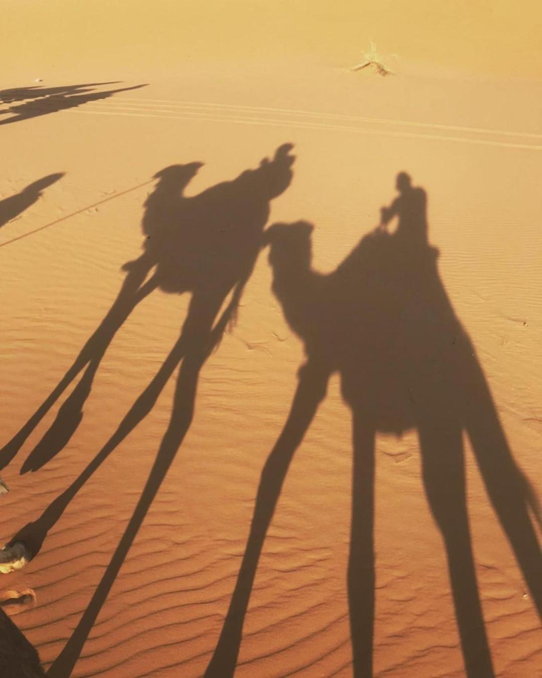 Desert Lover'S Luxury Camp เมอร์ซูกา ภายนอก รูปภาพ